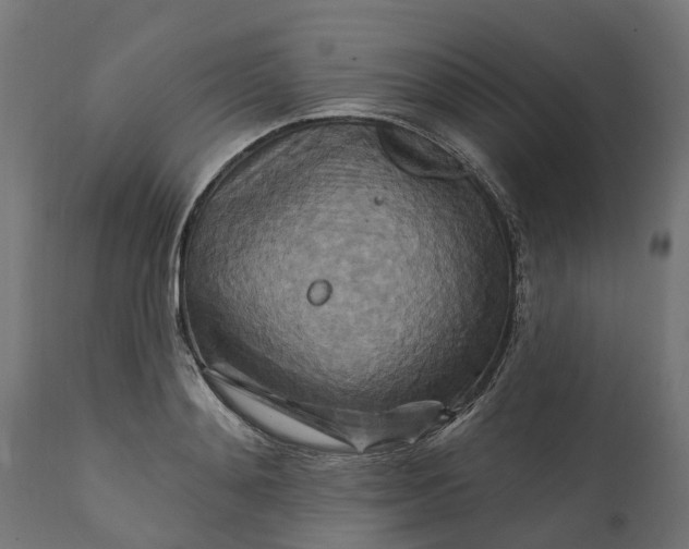 X0000111510892200907281312