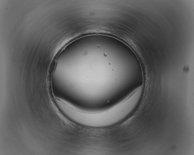 X0000111510893200907281312