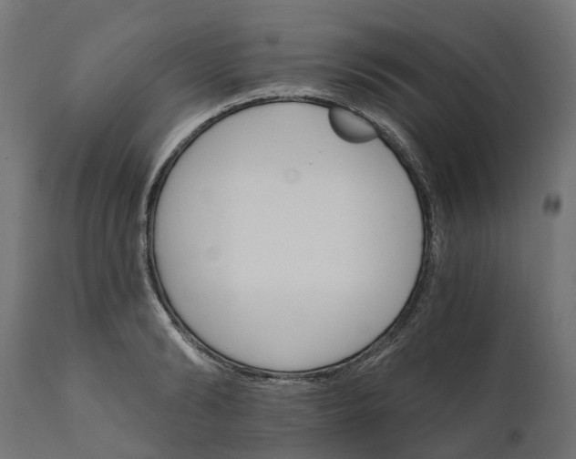 X0000111510894200907281312