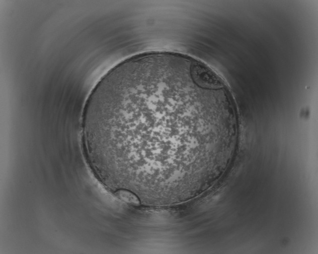 X0000111510895200907281312