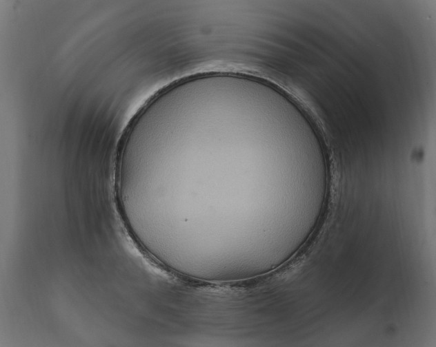X0000111510896200907281311