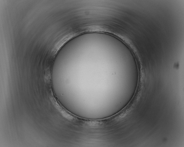 X0000111510897200907281311