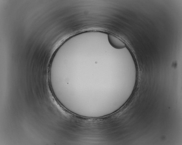 X0000111510898200907281311