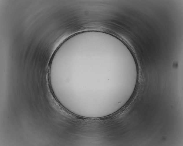 X0000111510899200907281311