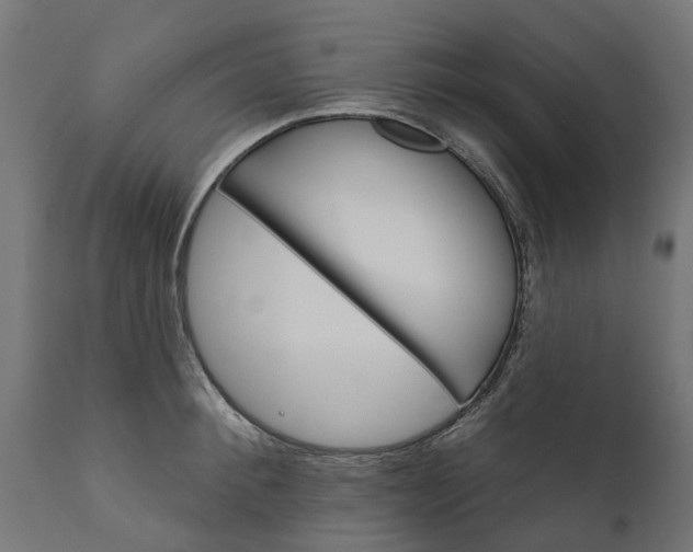 X0000111510900200907281311