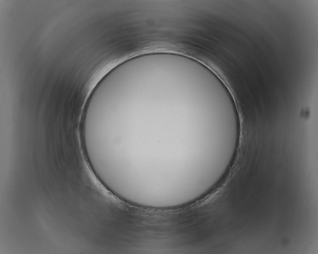 X0000111510901200907281311