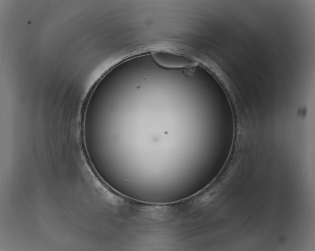 X0000111510902200907281311