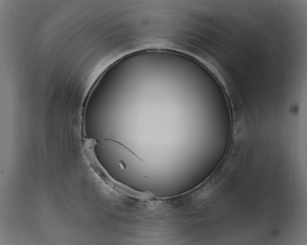 X0000111510903200907281311