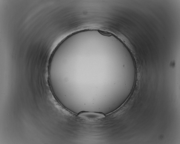 X0000111510904200907281311