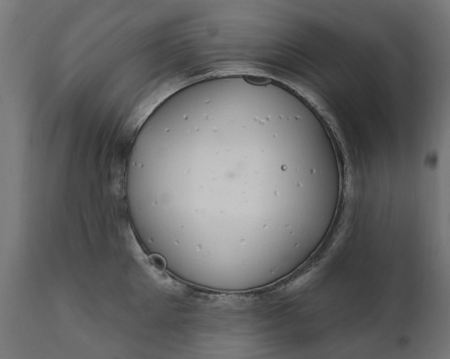 X0000111510905200907281311