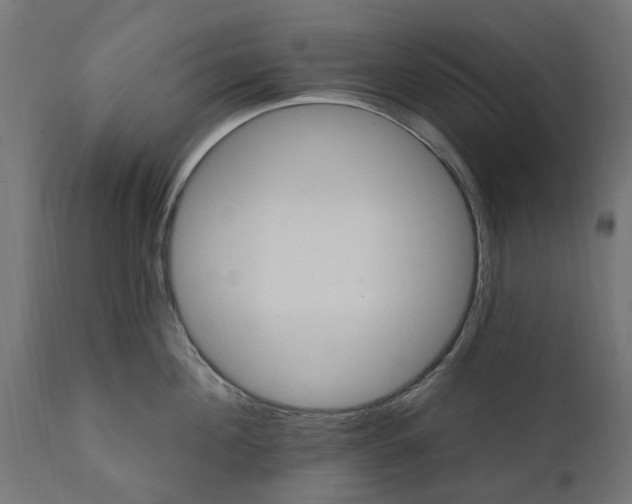 X0000111510908200907281311