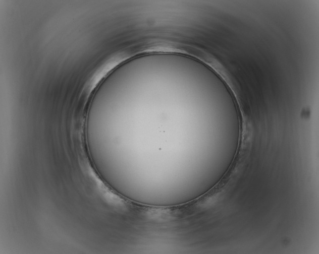 X0000111510909200907281311