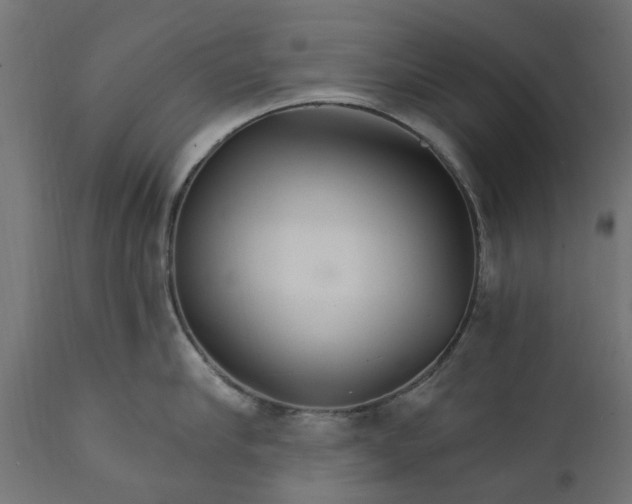 X0000111510910200907281311
