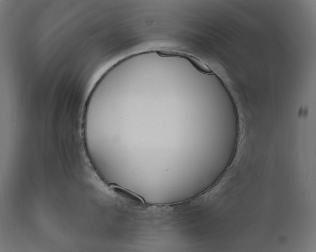X0000111510912200907281311