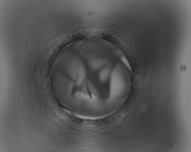 X0000111510913200907281310