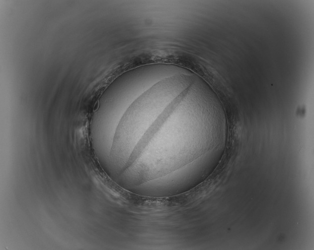 X0000111510914200907281310
