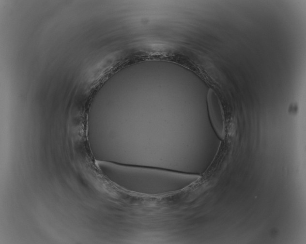 X0000111510916200907281310