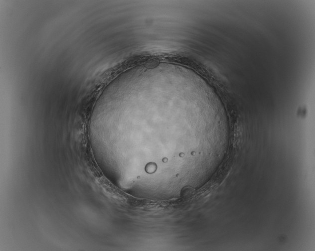 X0000111510917200907281310