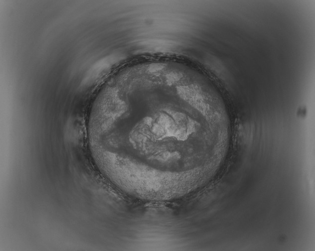 X0000111510918200907281311