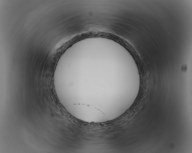 X0000111510919200907281311