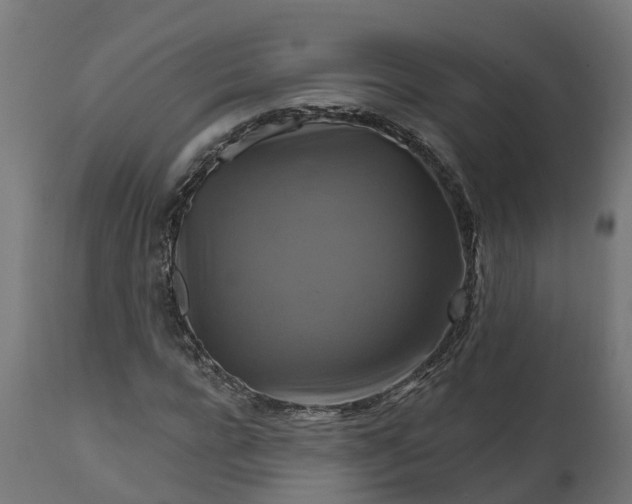 X0000111510920200907281311