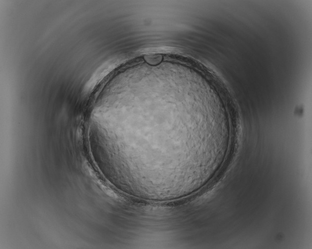 X0000111510921200907281311