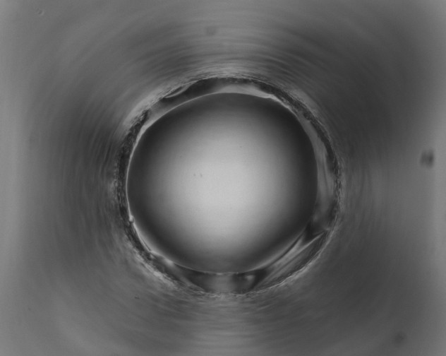 X0000111510922200907281311