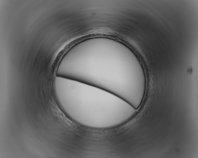 X0000111510923200907281311