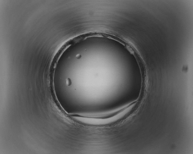 X0000111510924200907281311