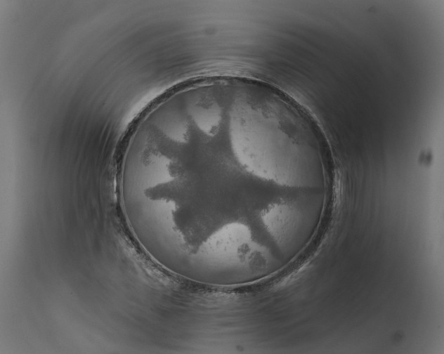 X0000111510925200907281311
