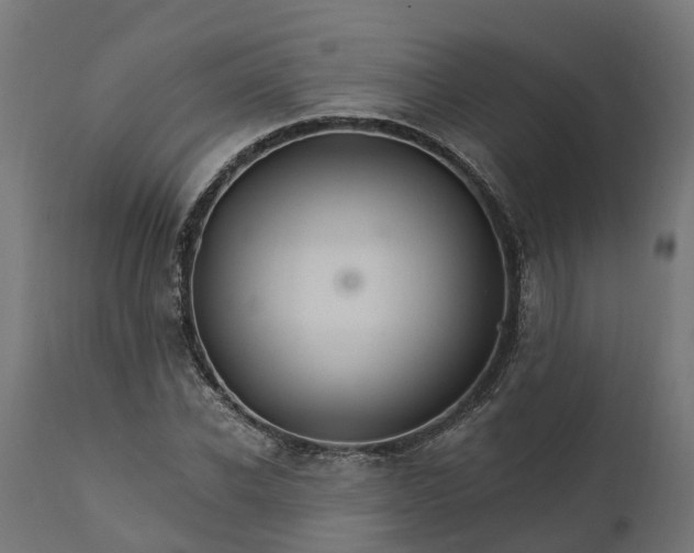 X0000111510926200907281311