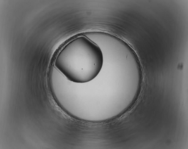 X0000111510928200907281311