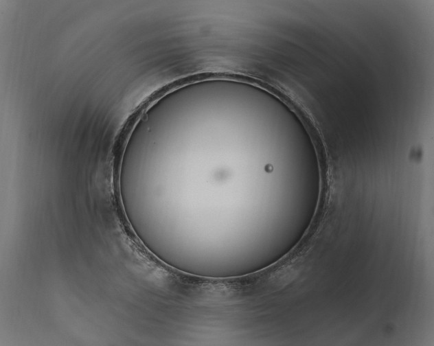 X0000111510931200907281311
