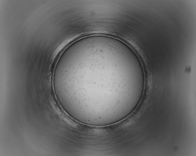 X0000111510933200907281311