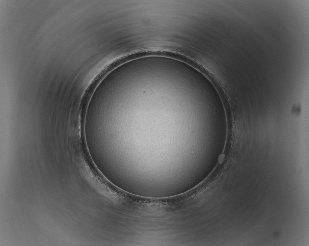 X0000111510934200907281311