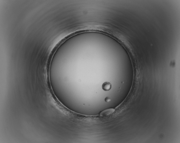 X0000111510936200907281311