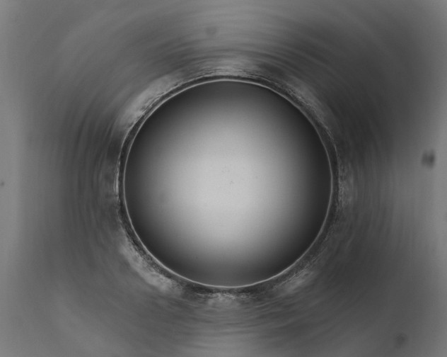 X0000111510938200907281311