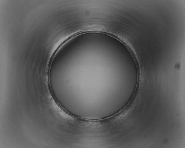 X0000111510941200907281311