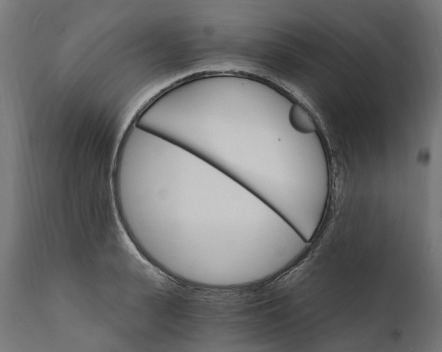 X0000111510943200907281311