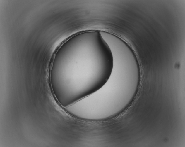 X0000111510944200907281311