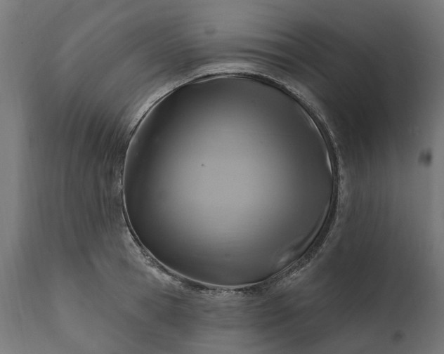 X0000111510945200907281311