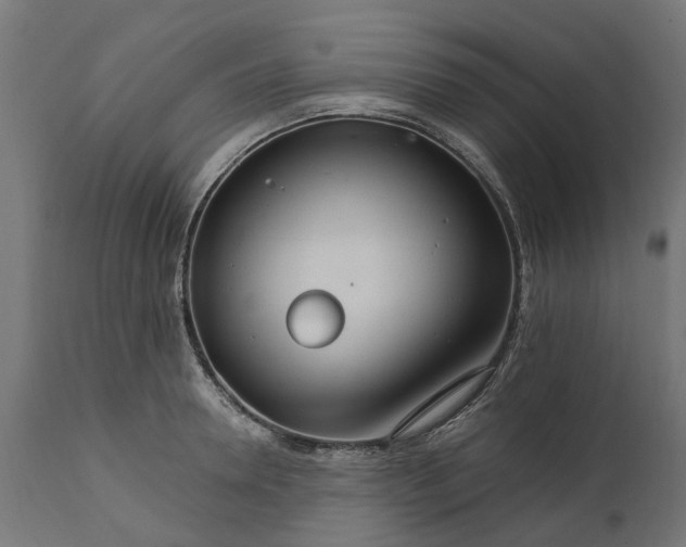 X0000111510946200907281311