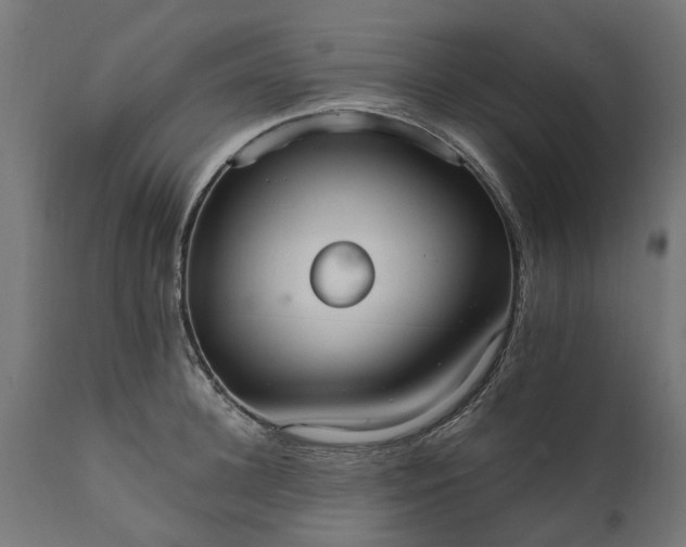 X0000111510948200907281311