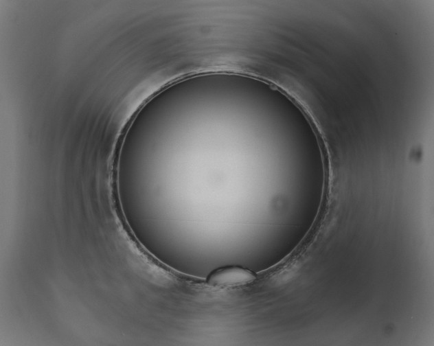 X0000111510949200907281311