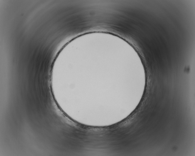 X0000111510950200907281311