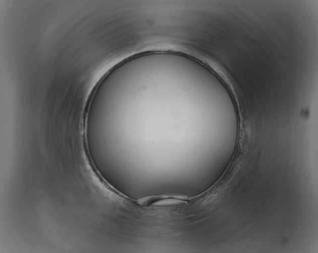 X0000111510951200907281311