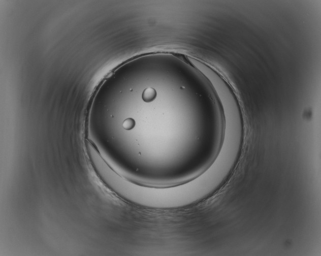 X0000111510952200907281311