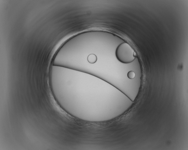 X0000111510955200907281311