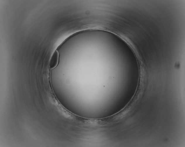 X0000111510956200907281311