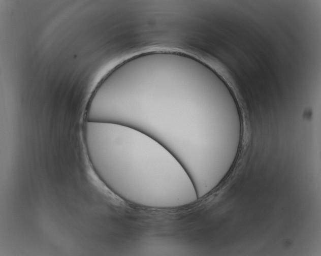 X0000111510958200907281311